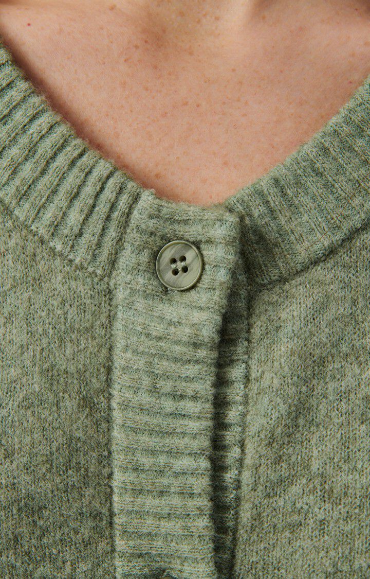 Damsville Cardigan (Caper Melange)